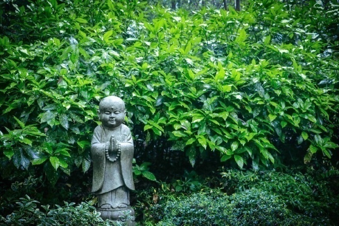 清晨入古寺,初日照高林杭州灵隐寺风景图片 6