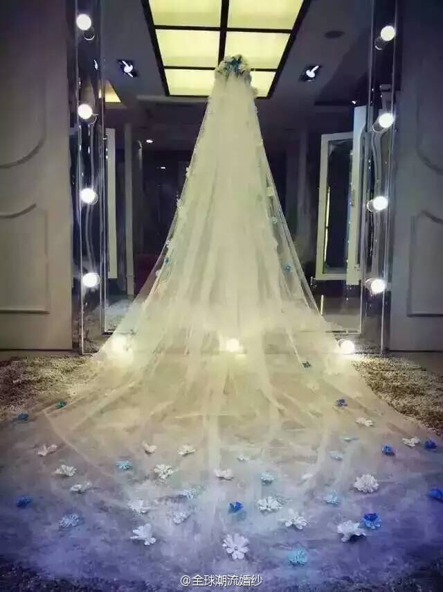 美丽的新娘头纱图片 7