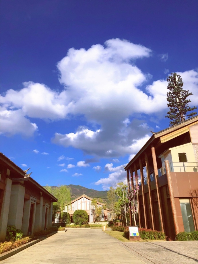丽江的今天丽江的蓝天丽江的风景图片 2