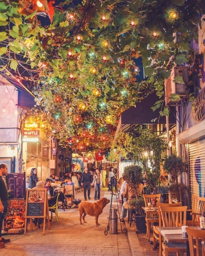 伊斯坦布尔的夜晚风景图片
