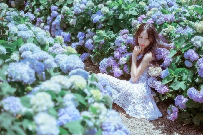 清纯美女花海女神范清纯图片 3