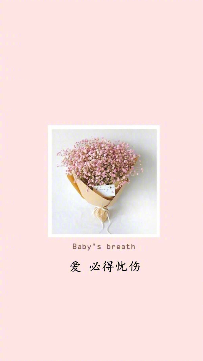 唯美文字壁纸图片:喜欢就像一阵风而爱是细水长 4