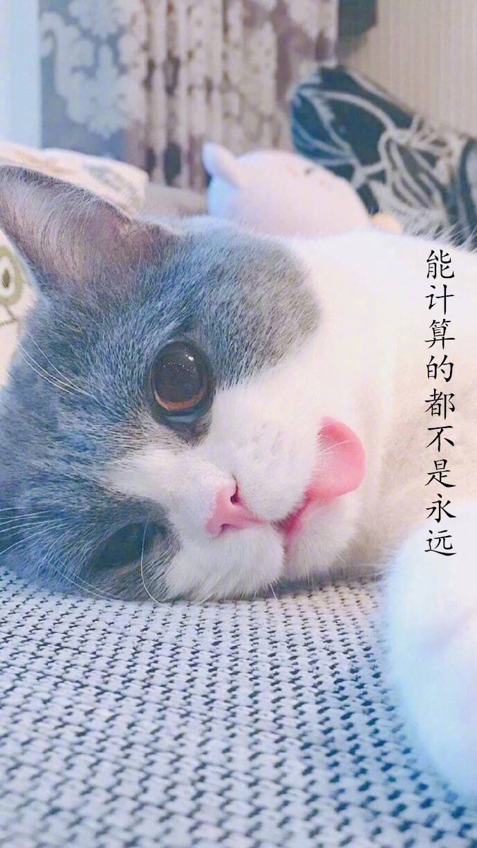 唯美文字壁纸图片:喜欢就像一阵风而爱是细水长 9