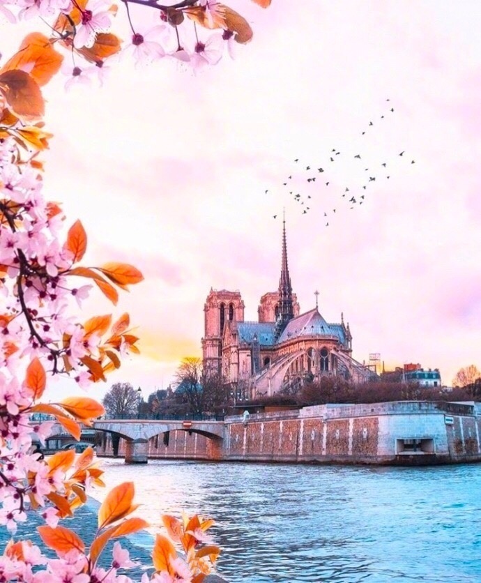 有机会要和喜欢的人去一次看一次巴黎春天风景