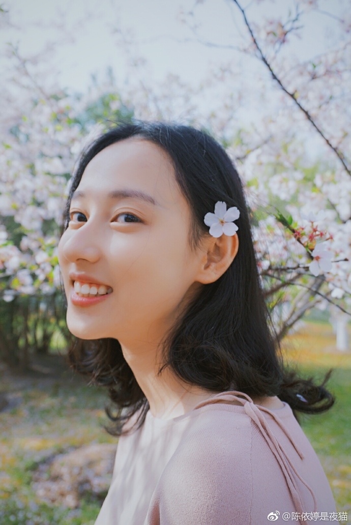 清纯美女郑晴樱花树下唯美写真 2