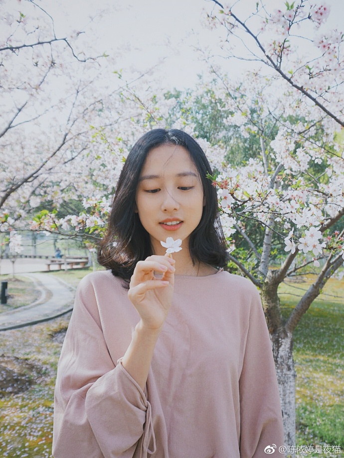 清纯美女郑晴樱花树下唯美写真 4