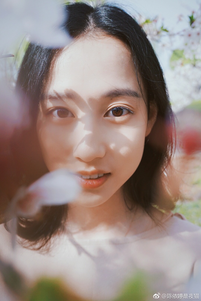 清纯美女郑晴樱花树下唯美写真 5
