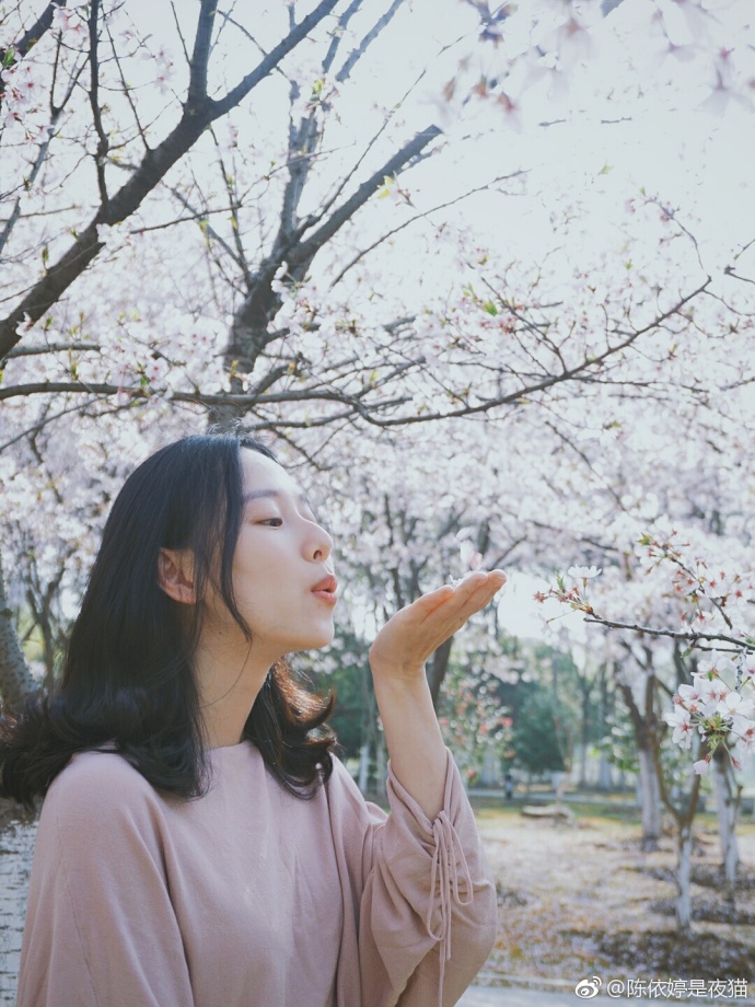 清纯美女郑晴樱花树下唯美写真 7