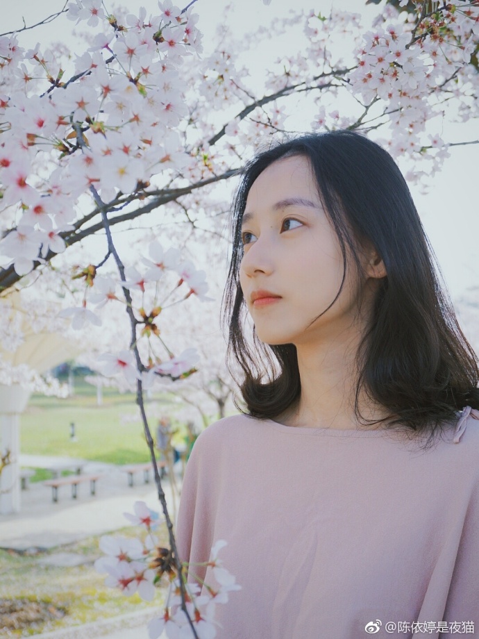 清纯美女郑晴樱花树下唯美写真 8