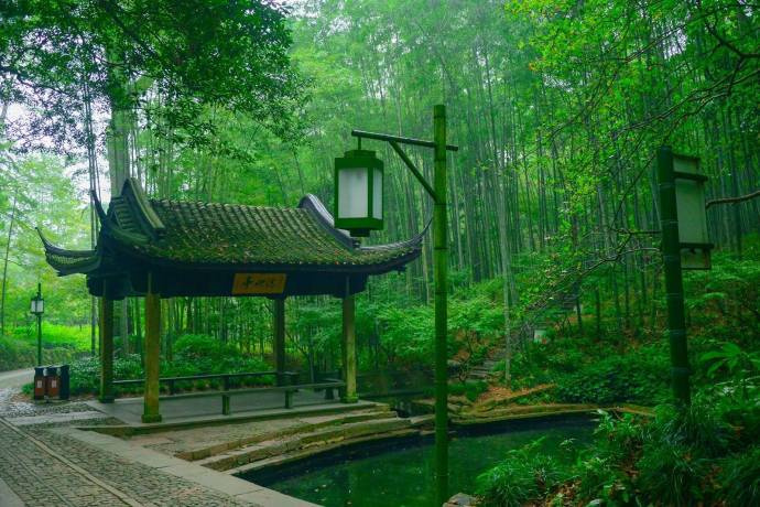 中国风风景图片_春生脩竹雨,人醉绿云天 6