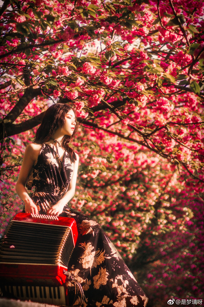 清纯美女言沁同学- 樱花树下唯美写真 2