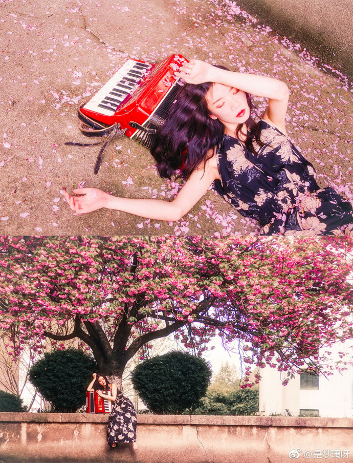 清纯美女言沁同学- 樱花树下唯美写真 5