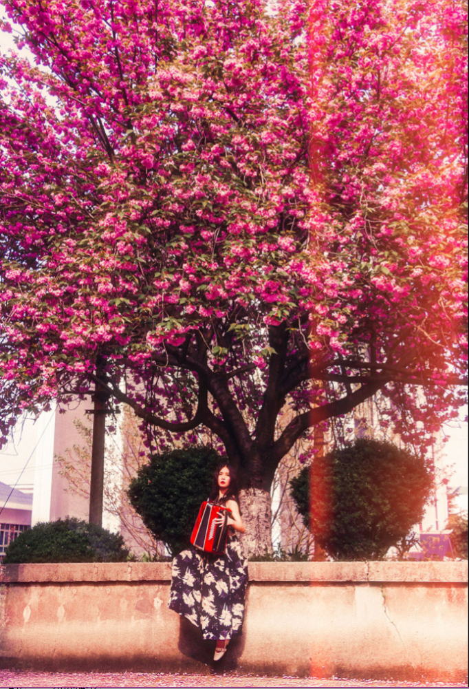 清纯美女言沁同学- 樱花树下唯美写真 11
