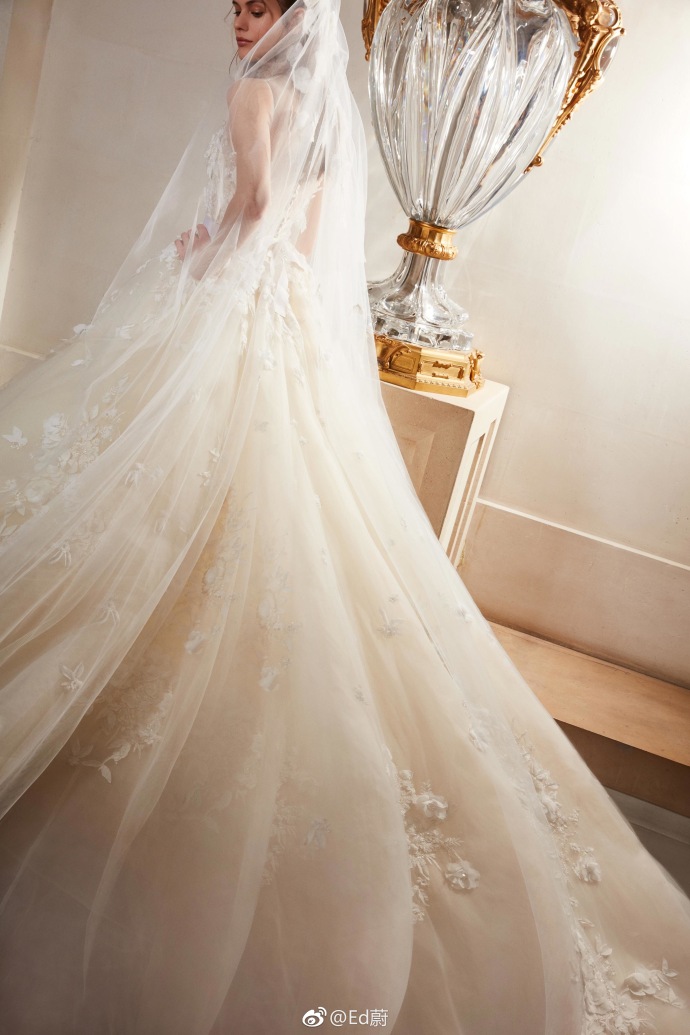 Elie Saab 2019春夏高级婚纱礼服系列仙女裙图片 8