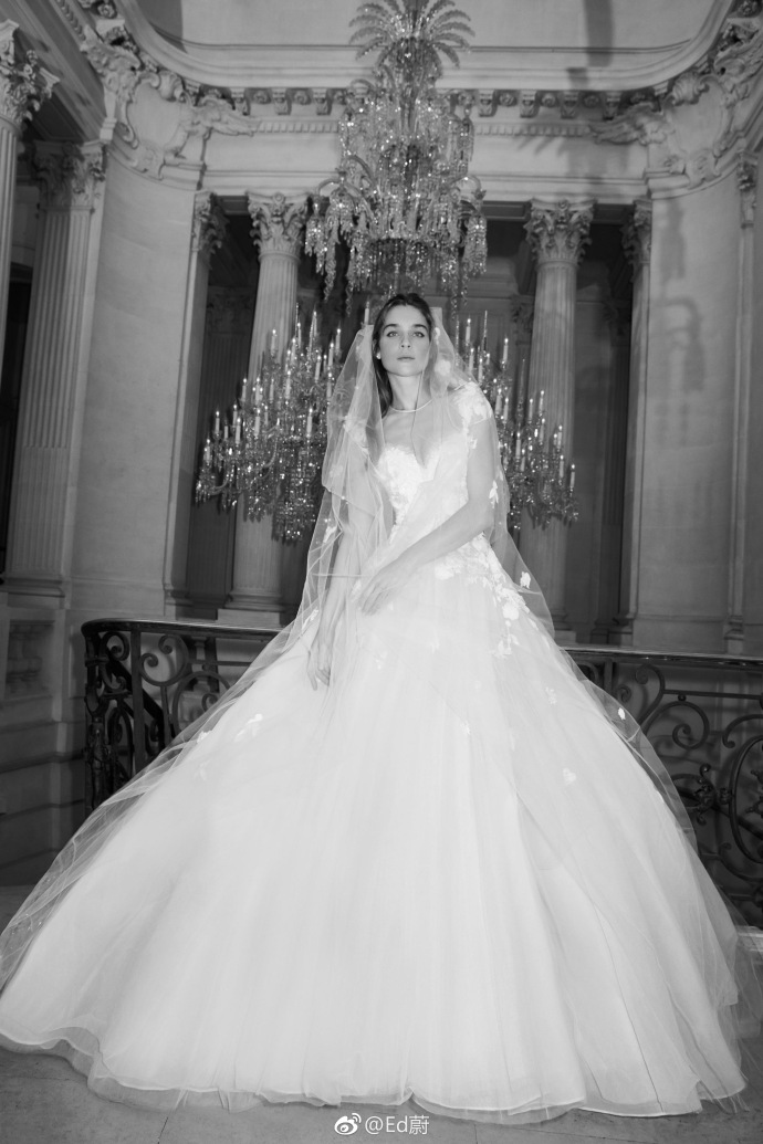 Elie Saab 2019春夏高级婚纱礼服系列仙女裙图片 9