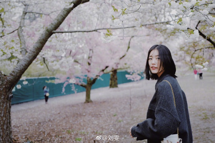 国际超模大表姐刘雯樱花树下唯美写真 2