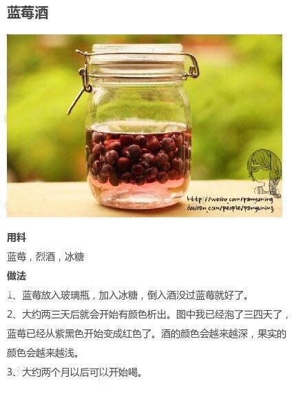 9款自酿水果酒的做法