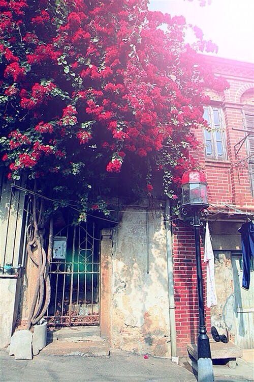 唯美花海壁纸图片_如果你知道,每一季花开,都是 2