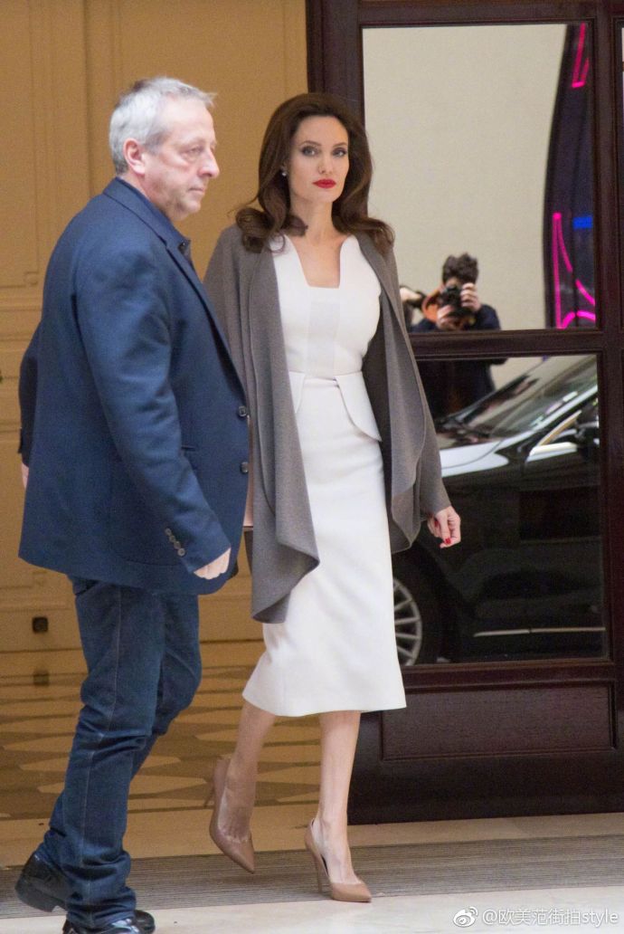 欧美美女明星Angelina Jolie美艳的五官配上冷艳的气 3
