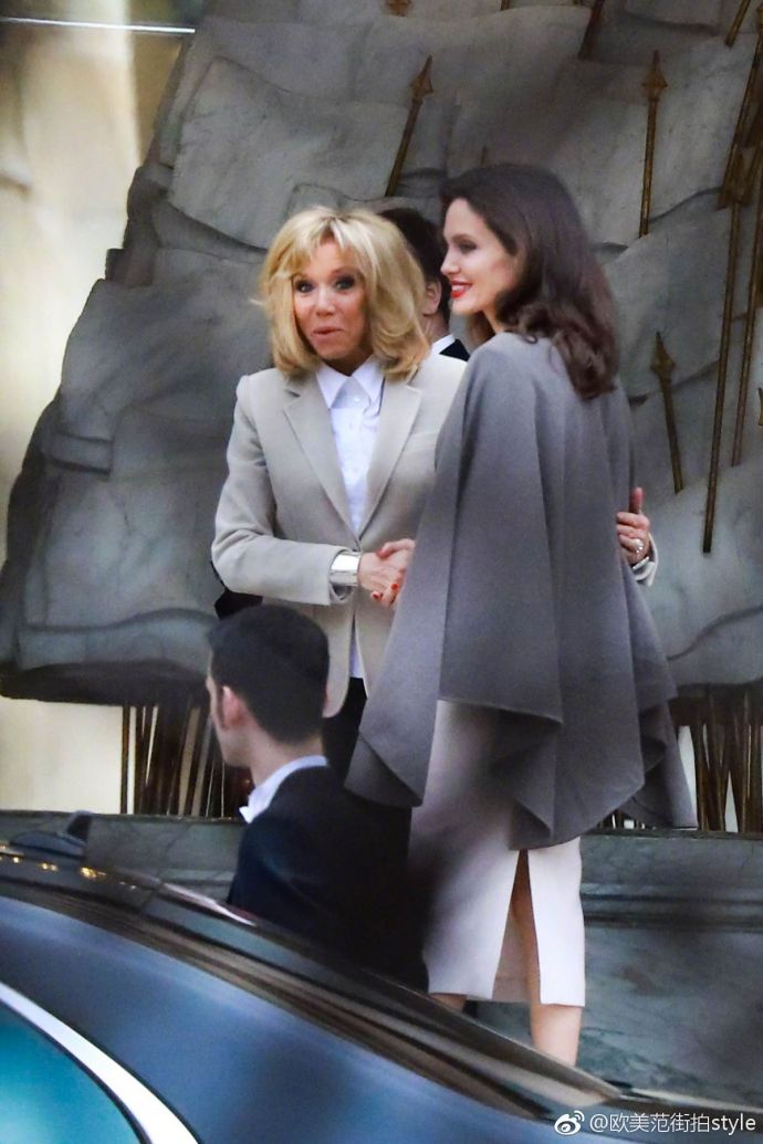 欧美美女明星Angelina Jolie美艳的五官配上冷艳的气 8