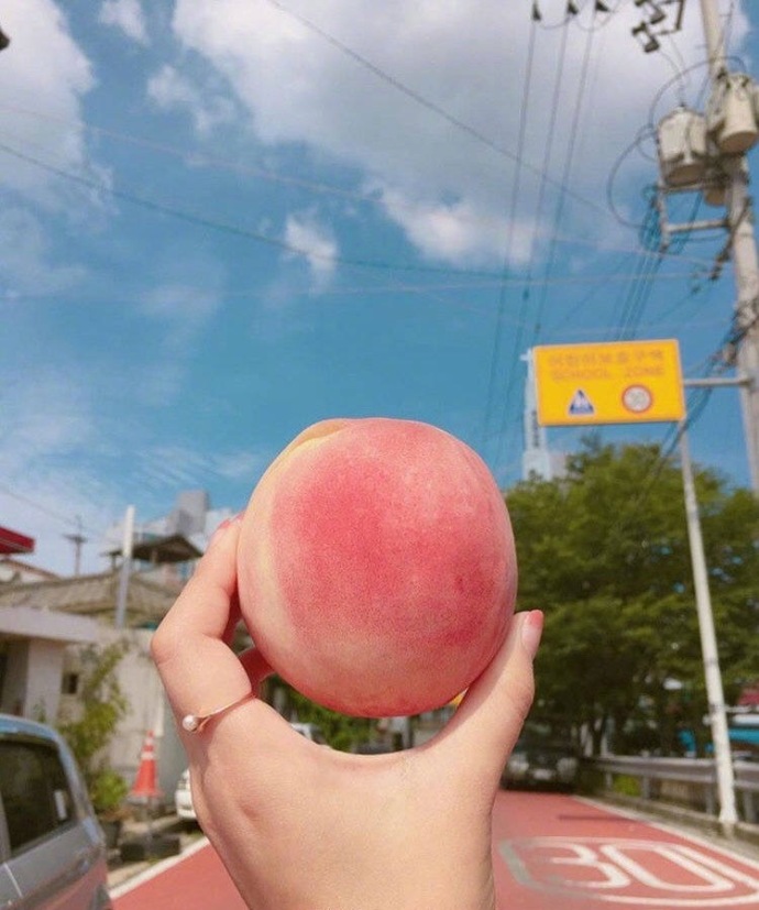 水蜜桃你怎么吃,你爱脆的还是软的呢,我反正爱吃 13