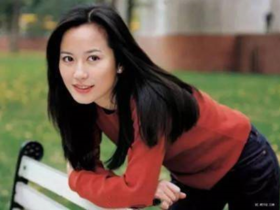 不老女神大眼美女明星俞飞鸿图片_有一种温婉大 29