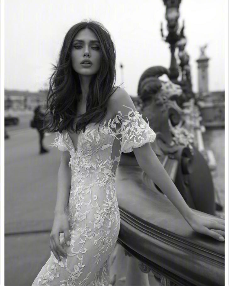 2019Julie Vino Bridal Collection波西米亚风婚纱礼服图片 2