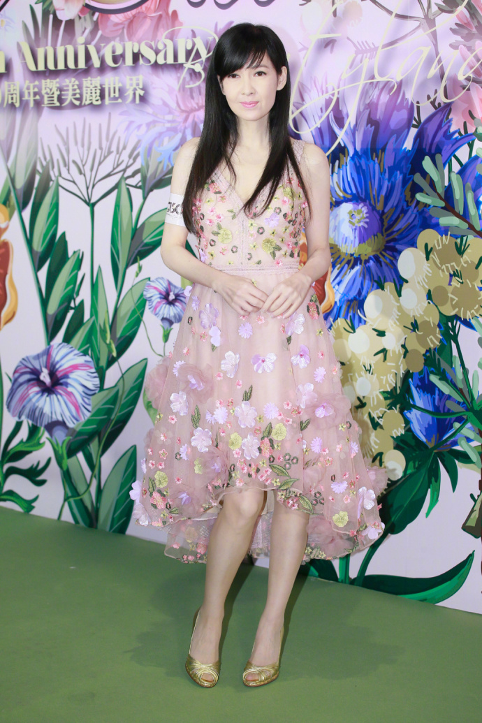 周慧敏图片_香港美女明星周慧敏一袭碎花长裙出 2