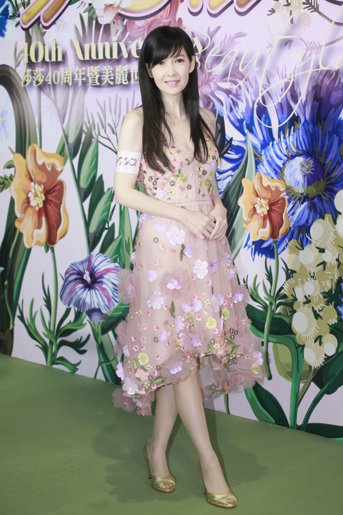 周慧敏图片_香港美女明星周慧敏一袭碎花长裙出 5