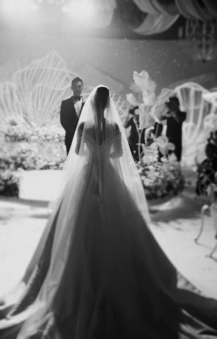 大眼美女明星张馨予何捷婚纱图片 13