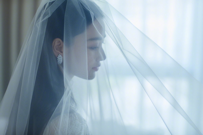 大眼美女明星张馨予何捷婚纱图片 16