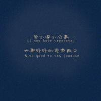 纯文字头像集_qq带字头像吧 11