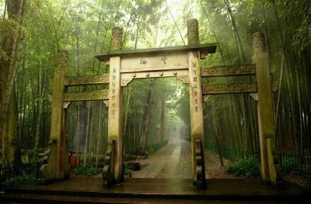 杭州最仙最静的地方云栖竹径风景图片 6