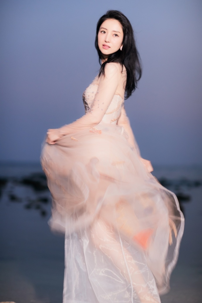 大眼美女明星董璇裸色刺绣长纱裙飘逸唯美图片 2