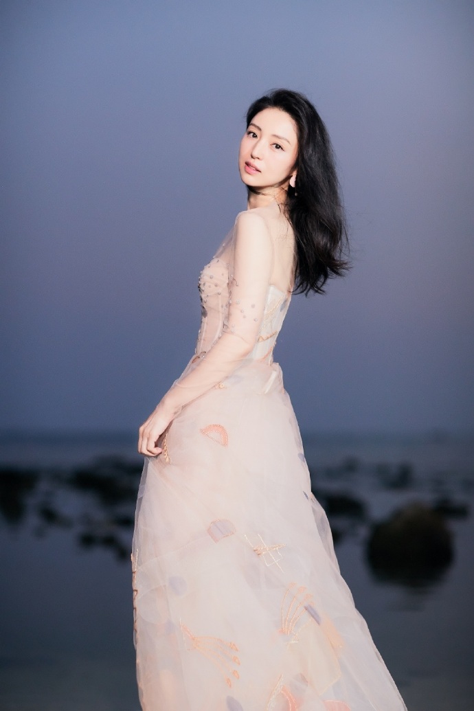 大眼美女明星董璇裸色刺绣长纱裙飘逸唯美图片 4
