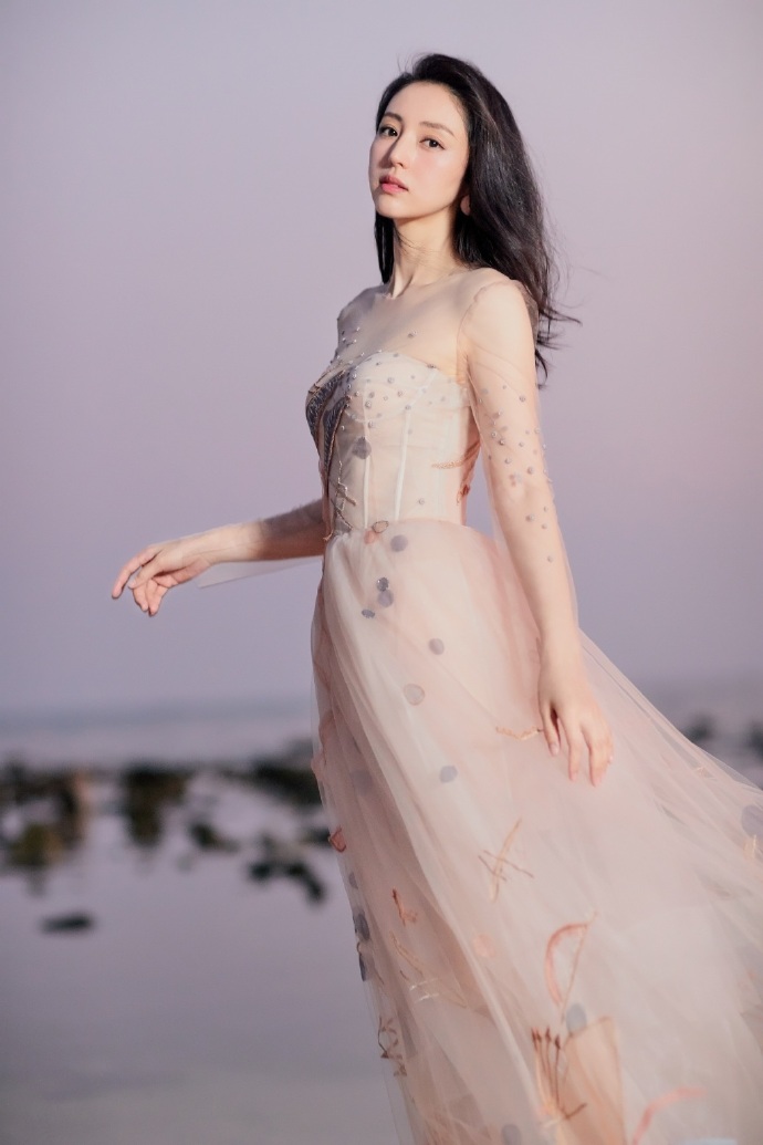 大眼美女明星董璇裸色刺绣长纱裙飘逸唯美图片 6