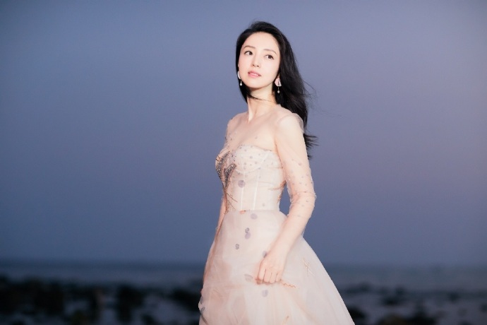 大眼美女明星董璇裸色刺绣长纱裙飘逸唯美图片 7