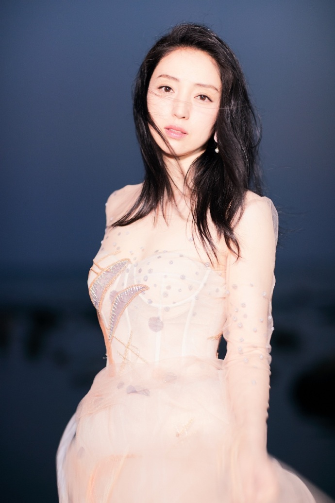 大眼美女明星董璇裸色刺绣长纱裙飘逸唯美图片 8
