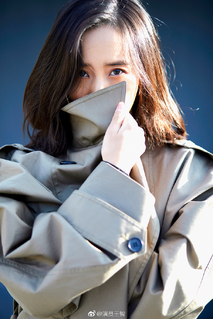 内地女明星王智唯美写真 4