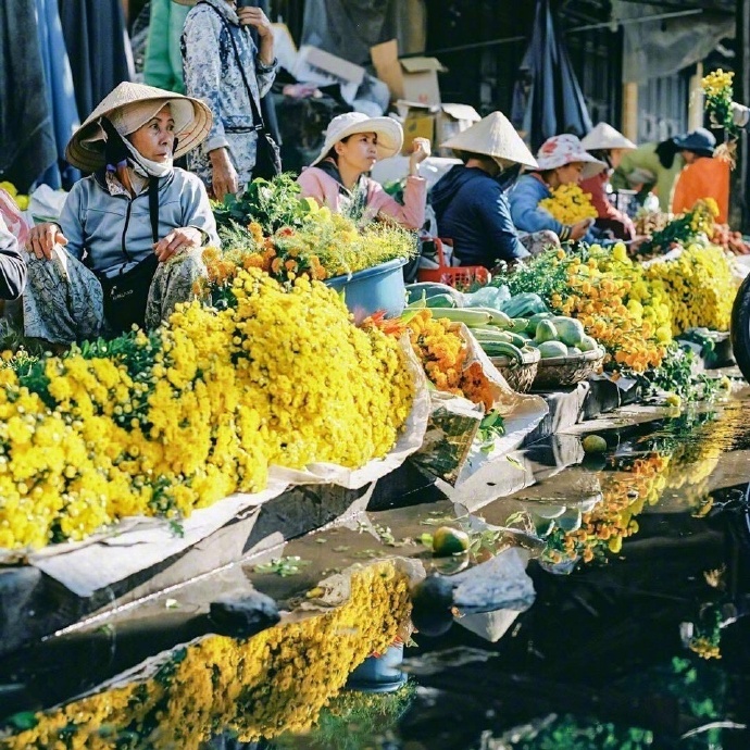 没有冬季的越南风景图片 8