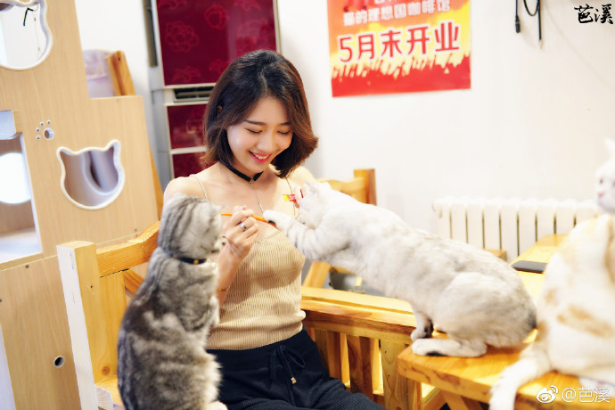 清纯美女模特小鹤er喂猫咪爱心图片 2