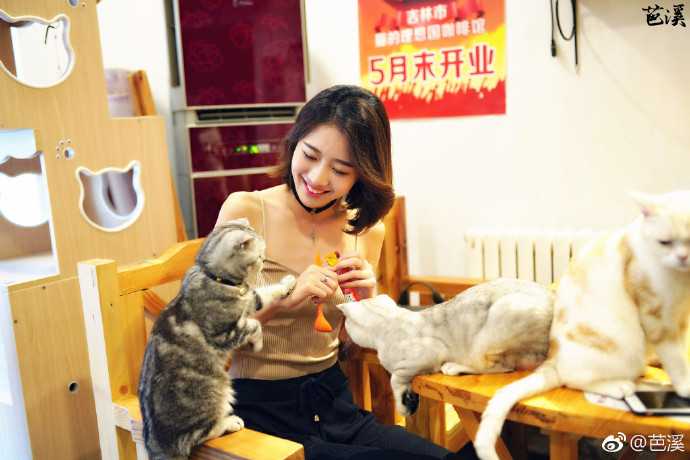 清纯美女模特小鹤er喂猫咪爱心图片 7