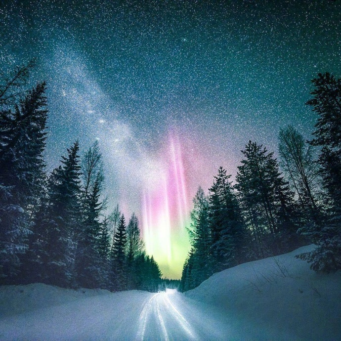 芬兰的雪白世界风景图片 6