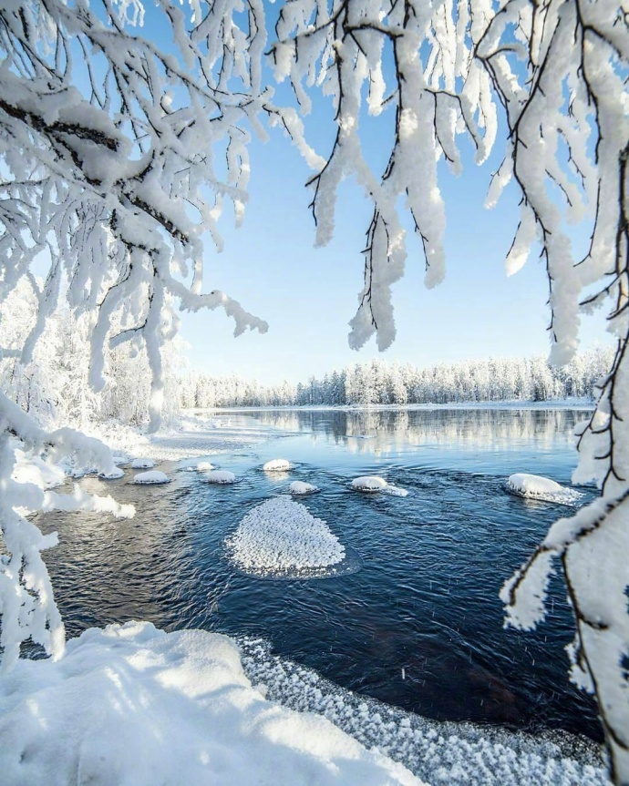 芬兰的雪白世界风景图片 8