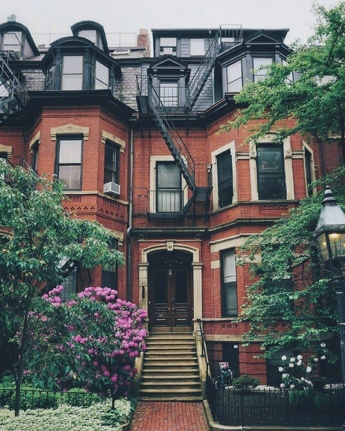 波士顿的住宅街道风景图片