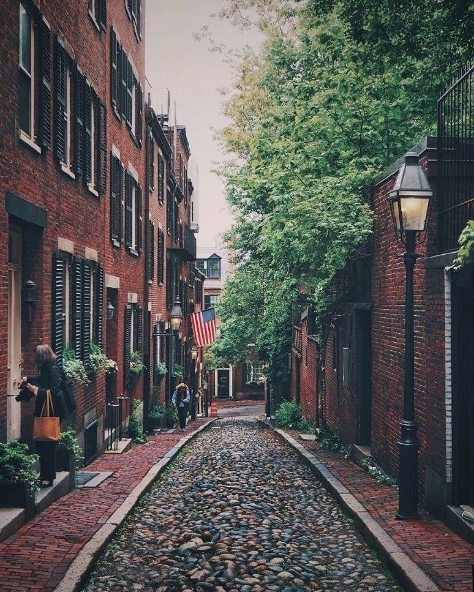 波士顿的住宅街道风景图片 3