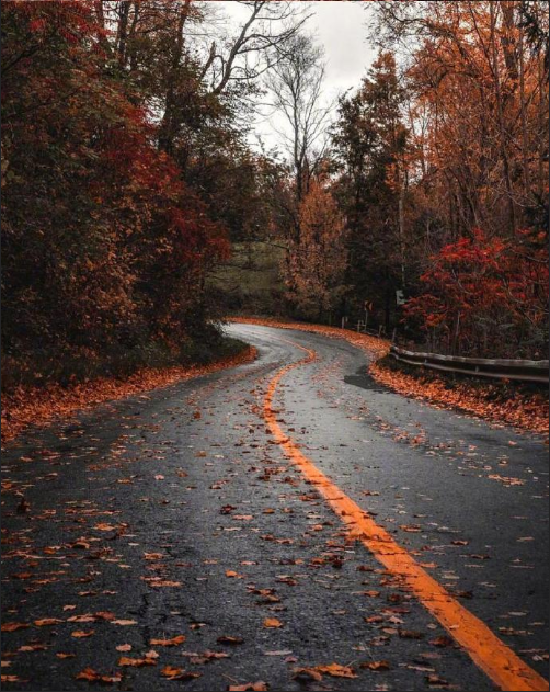 加拿大的深秋风景图片 9