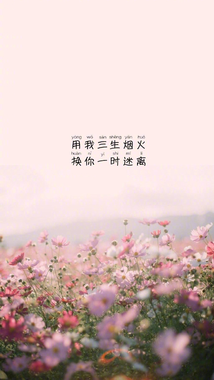 唯美文字壁纸图片 可往往是遇见了一个人才迎来