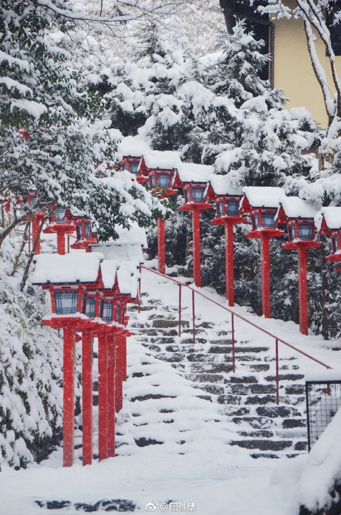 日本贵船神社大雪风景图片 2