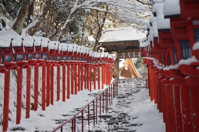 日本贵船神社大雪风景图片 7